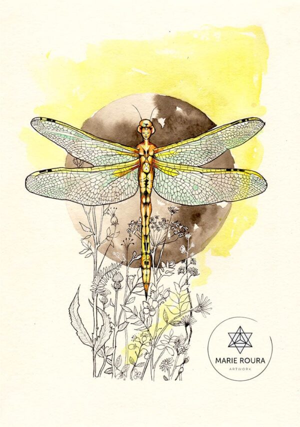 libellule animal totem aquarelle sur fond jaune.